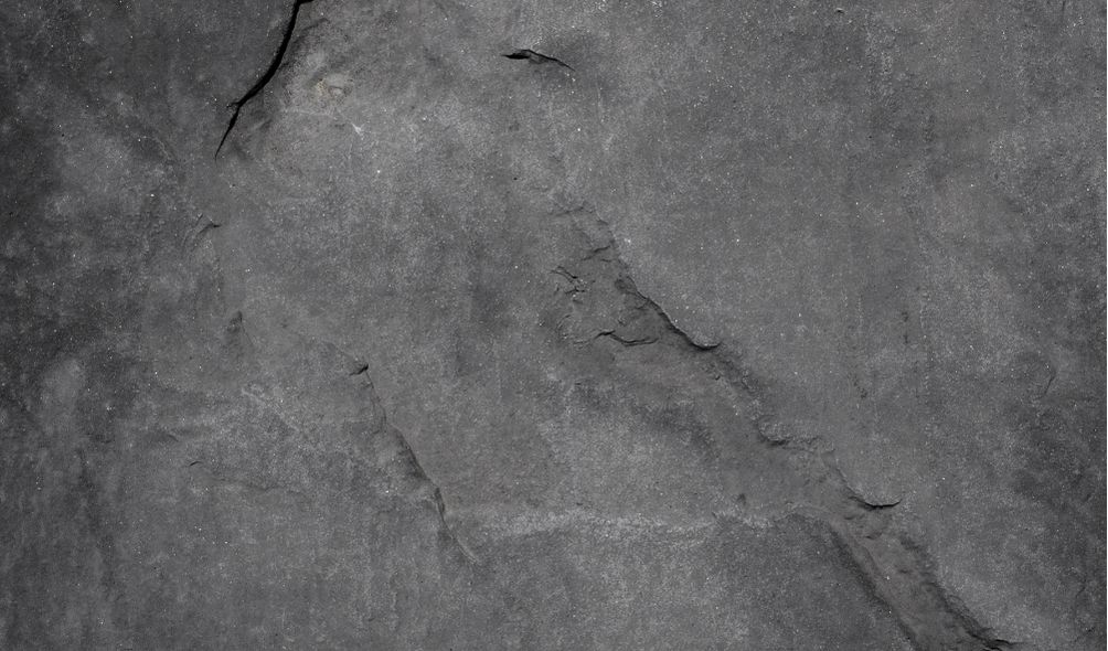 Primeira Seção vai definir se a Fazenda pode habilitar em falência crédito o objeto de execução fiscal.